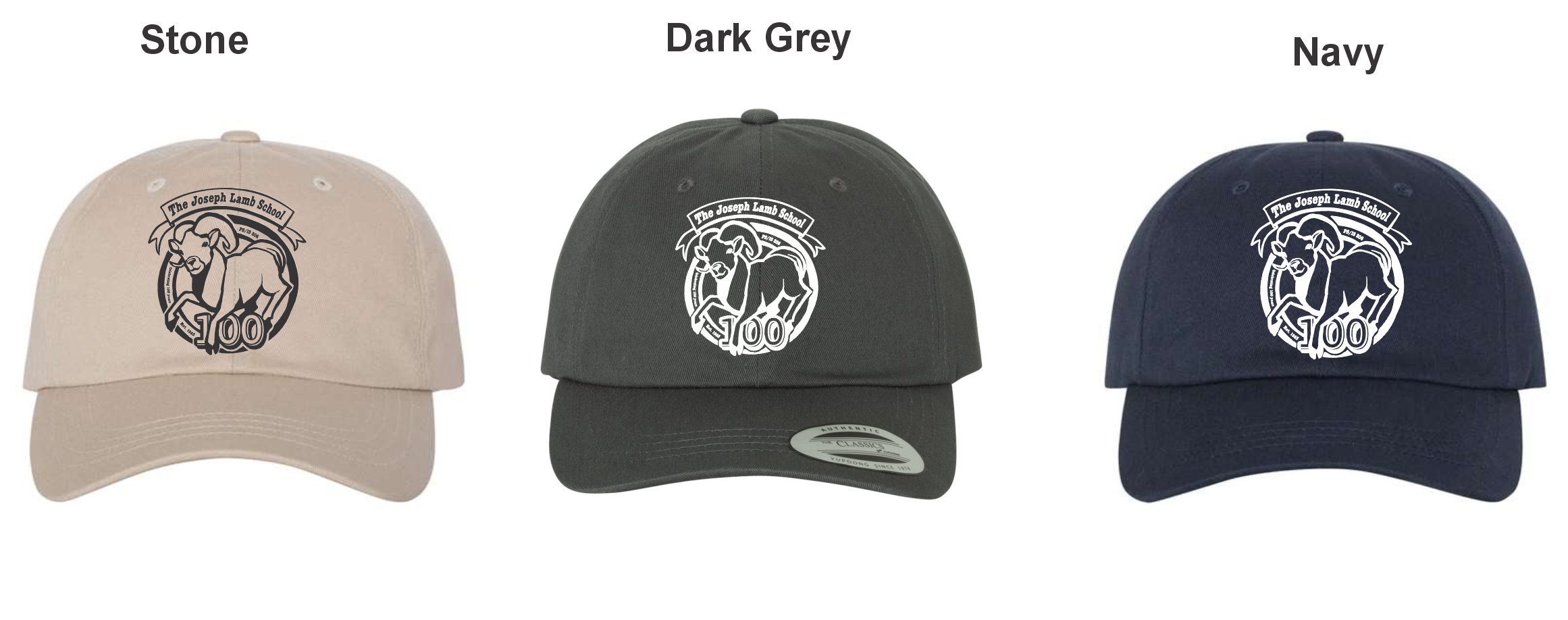 PS 206 Classic Hat 6245CM - Image 2