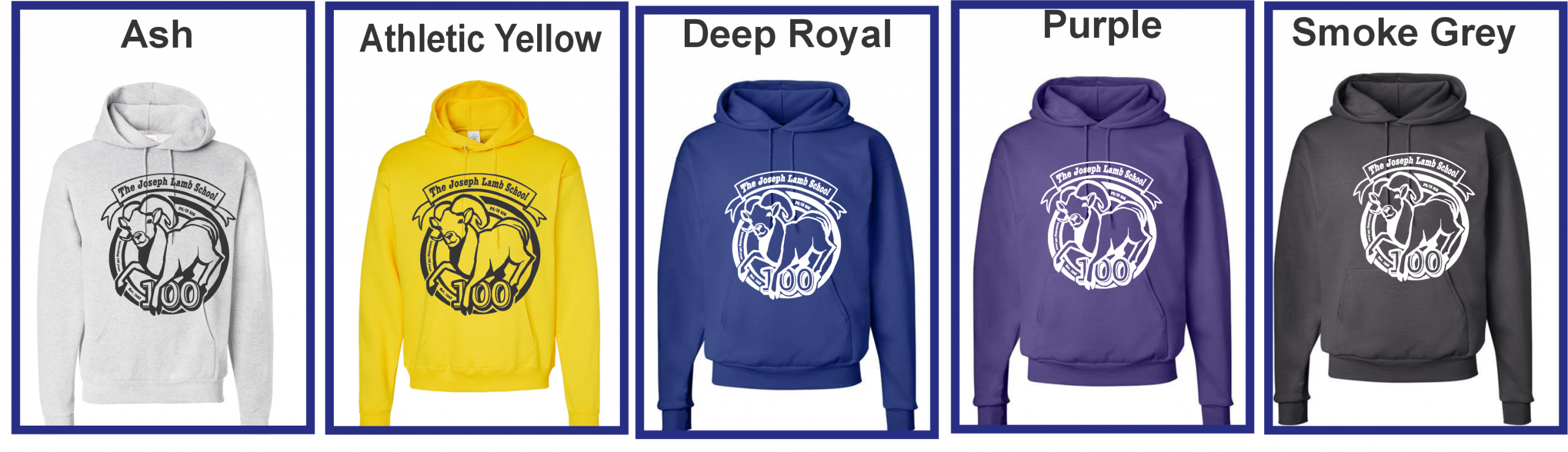 PS 206 Hanes Hoodie P170 - Image 2