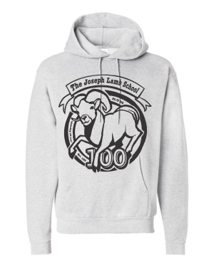 PS 206 Hanes Hoodie P170