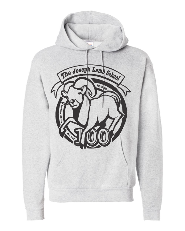 PS 206 Hanes Hoodie P170